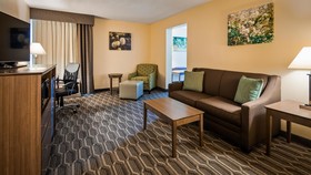 Best Western Plus Yadkin Valley Inn & Suites