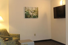 Best Western Plus Yadkin Valley Inn & Suites