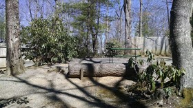 Linville Falls Campground & Cabins - A Cruise Inn Park