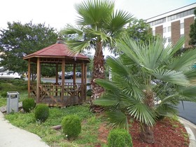 Days Inn by Wyndham Raleigh Midtown