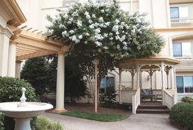 La Quinta Inn & Suites by Wyndham Raleigh Crabtree