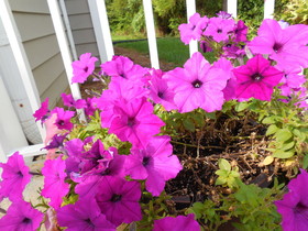 Affordable Suites Salisbury, NC