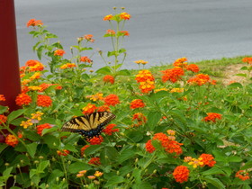 Affordable Suites Salisbury, NC