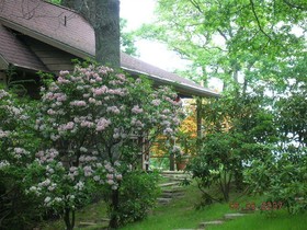 Fire Mountain Inn Cabins & Treehouses