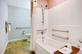 Microtel Inn & Suites by Wyndham Statesville