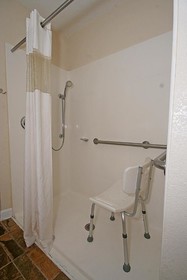 Microtel Inn & Suites by Wyndham Statesville