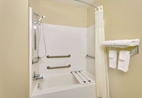 Microtel Inn & Suites by Wyndham Thomasville/High Point/Lexi