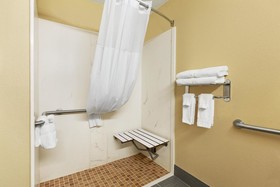 Microtel Inn & Suites by Wyndham Thomasville/High Point/Lexi