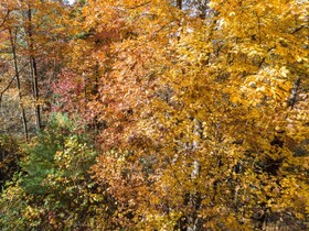 Smokies Overlook Lodge