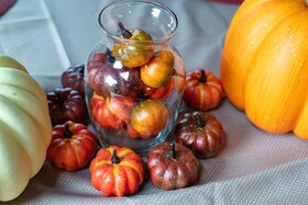 Smokies Overlook Lodge