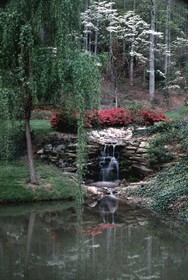 The Chalet Suites Boutique Hotel