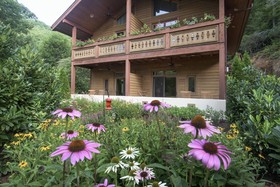 The Chalet Suites Boutique Hotel