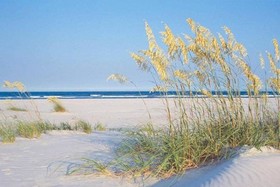 Shell Island Resort