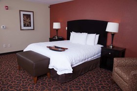 Hampton Inn & Suites Dickinson