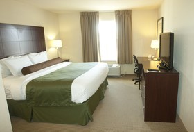 Cobblestone Inn & Suites in Langdon