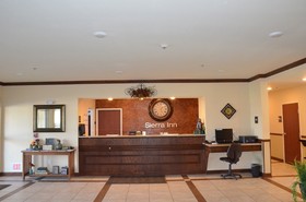 Spark by Hilton Minot