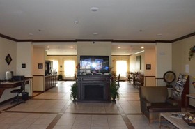 Spark by Hilton Minot