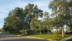 Bison Lodge