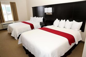 Black Gold Suites Stanley