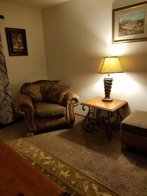 Dakota Rose Inn