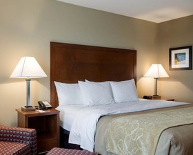Comfort Inn And Suites