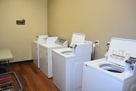 Roosevelt Inn and Suites