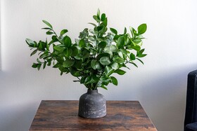 The Luckman Apartments by Barsala