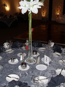 Hope Hotel & Richard C. Holbrooke Conference Center