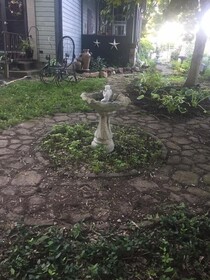 1873 Victorian Rose B & B