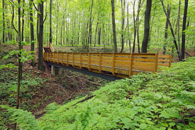 Sojourner's Lodge & Log Cabin Suites