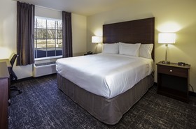 Cobblestone Inn & Suites of Springfield