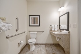 Cobblestone Inn & Suites of Springfield