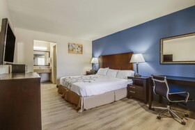 Econo Lodge Inn & Suites