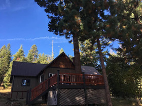 Mountain Pine Cabin Pet Friendly