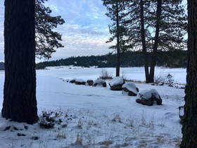 Mountain Pine Cabin Pet Friendly