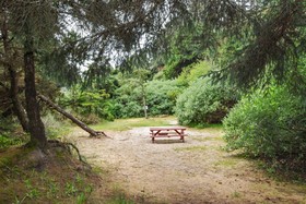 Oceanside Beachfront RV Resort