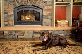 Village Green Resort