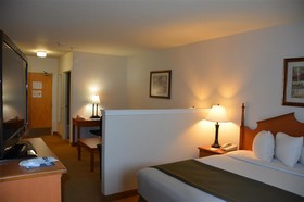 Best Western Dallas Inn & Suites