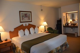 Best Western Dallas Inn & Suites