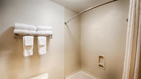 Best Western Dallas Inn & Suites