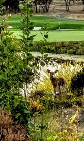 The Resort At Eagle Point