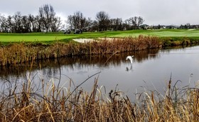 The Resort At Eagle Point