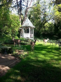 The Campbell House Inn