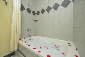 University Inn & Suites