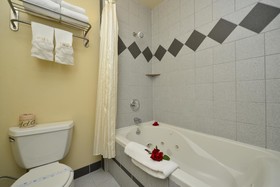 University Inn & Suites