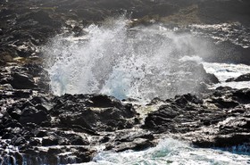 Best Western Pier Point Inn