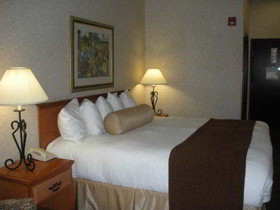 Best Western University Inn & Suites