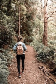 Salishan Coastal Lodge by SCP