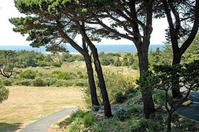 Ireland's Rustic Lodges