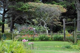 Ireland's Rustic Lodges